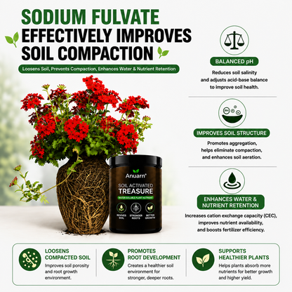 🌱 Soil Revival Formula