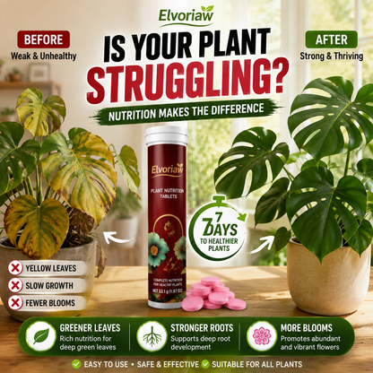 🥇 Elvoriaw  Plant Nutrition Tablets