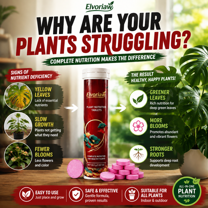 🥇 Elvoriaw  Plant Nutrition Tablets