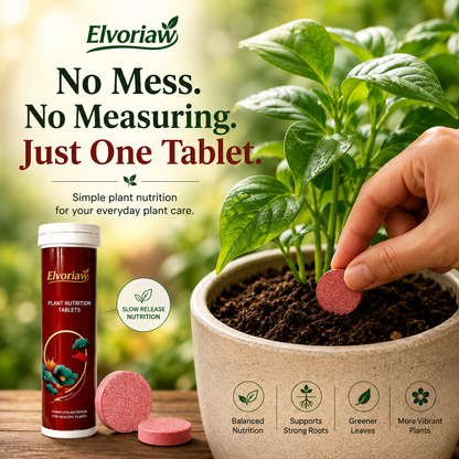 🥇 Elvoriaw  Plant Nutrition Tablets