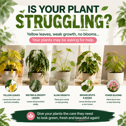 🌿Plant Revival Spray