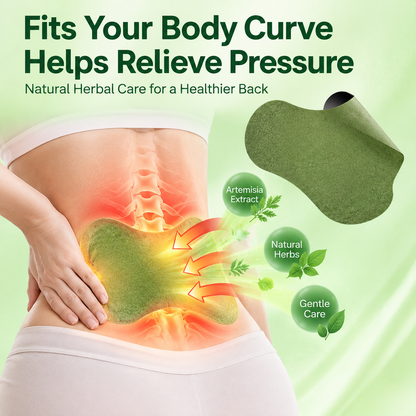 Herbal Lumbar Patch Natural Warming Comfort for Your Lower Back